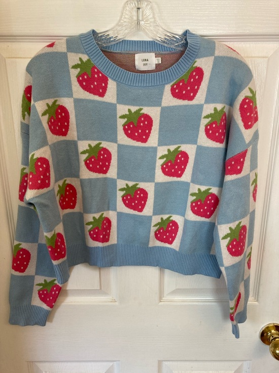Luna Ivy Sweaters - Luna Ivy Blue Strawberry Checker Crewneck Sweater. NWOT